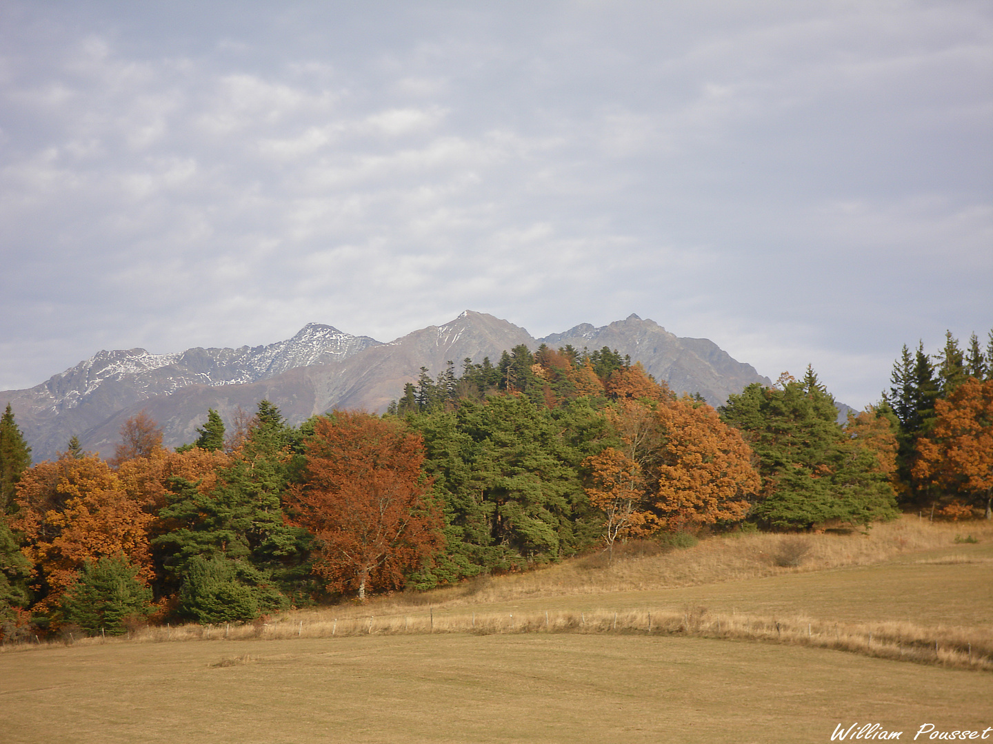 Couleurs d'automne