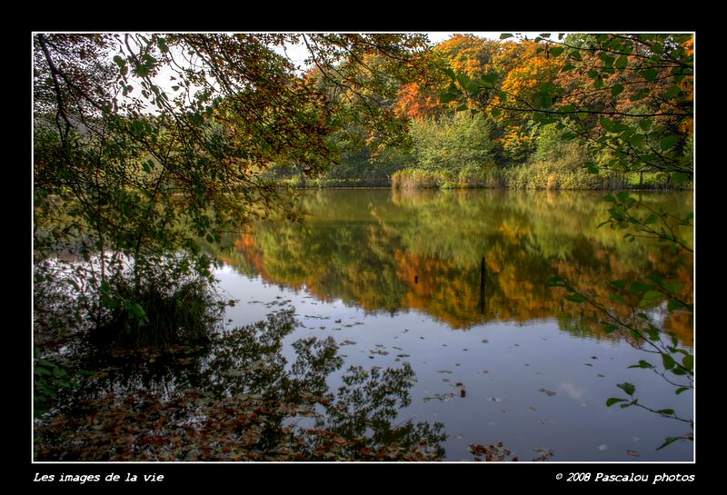 Couleurs d'automne