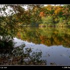 Couleurs d'automne