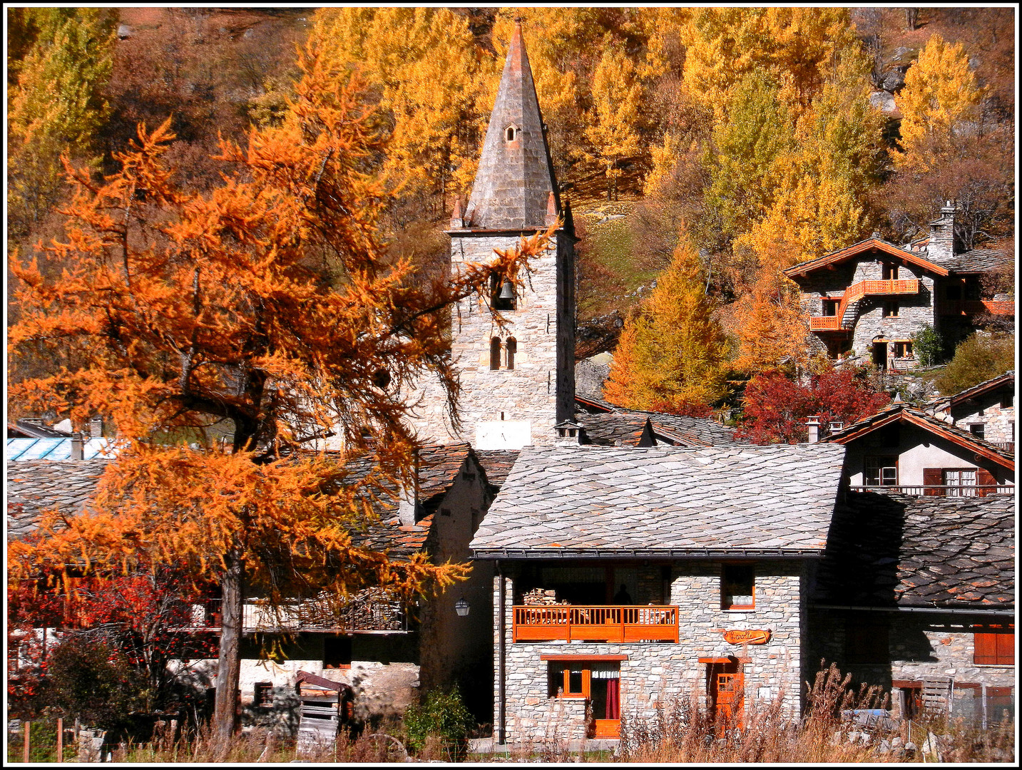 Couleurs d'Automne