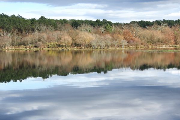 Couleurs d'automne !