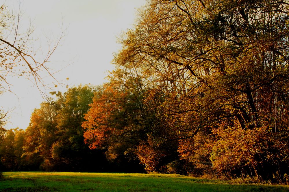 couleurs d'automne