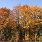 couleurs d'automne