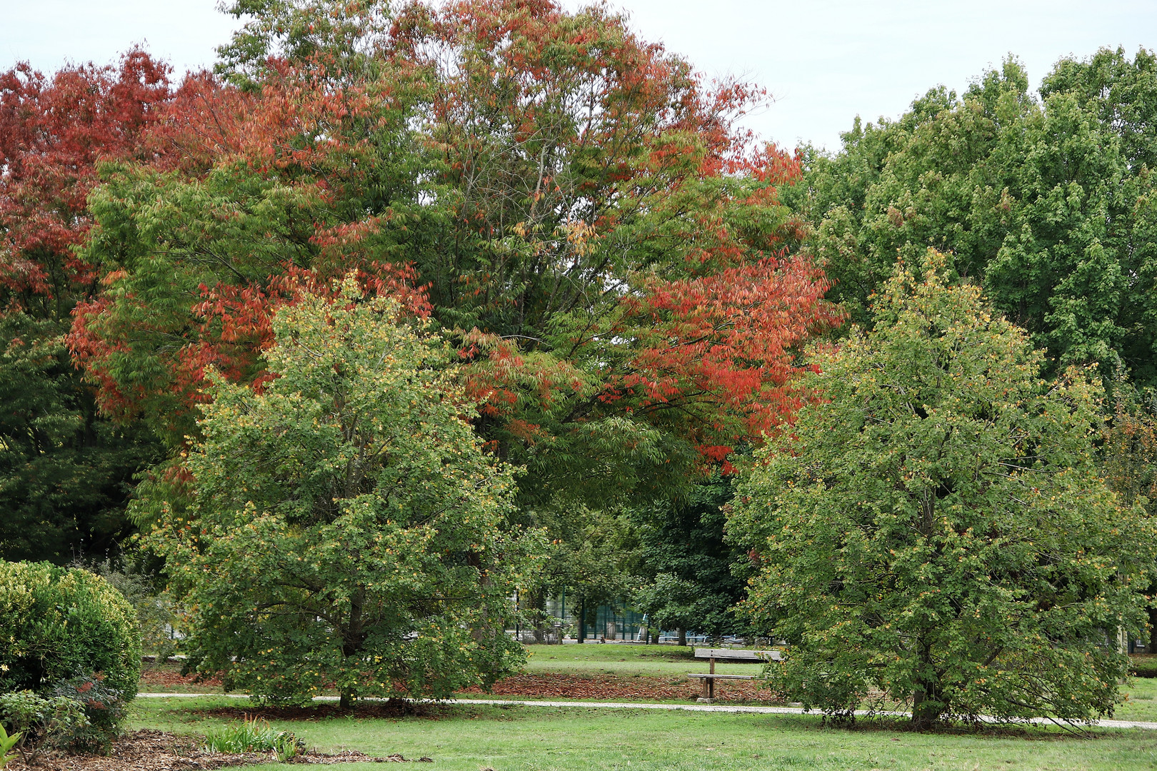 Couleurs d'automne !