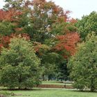 Couleurs d'automne !