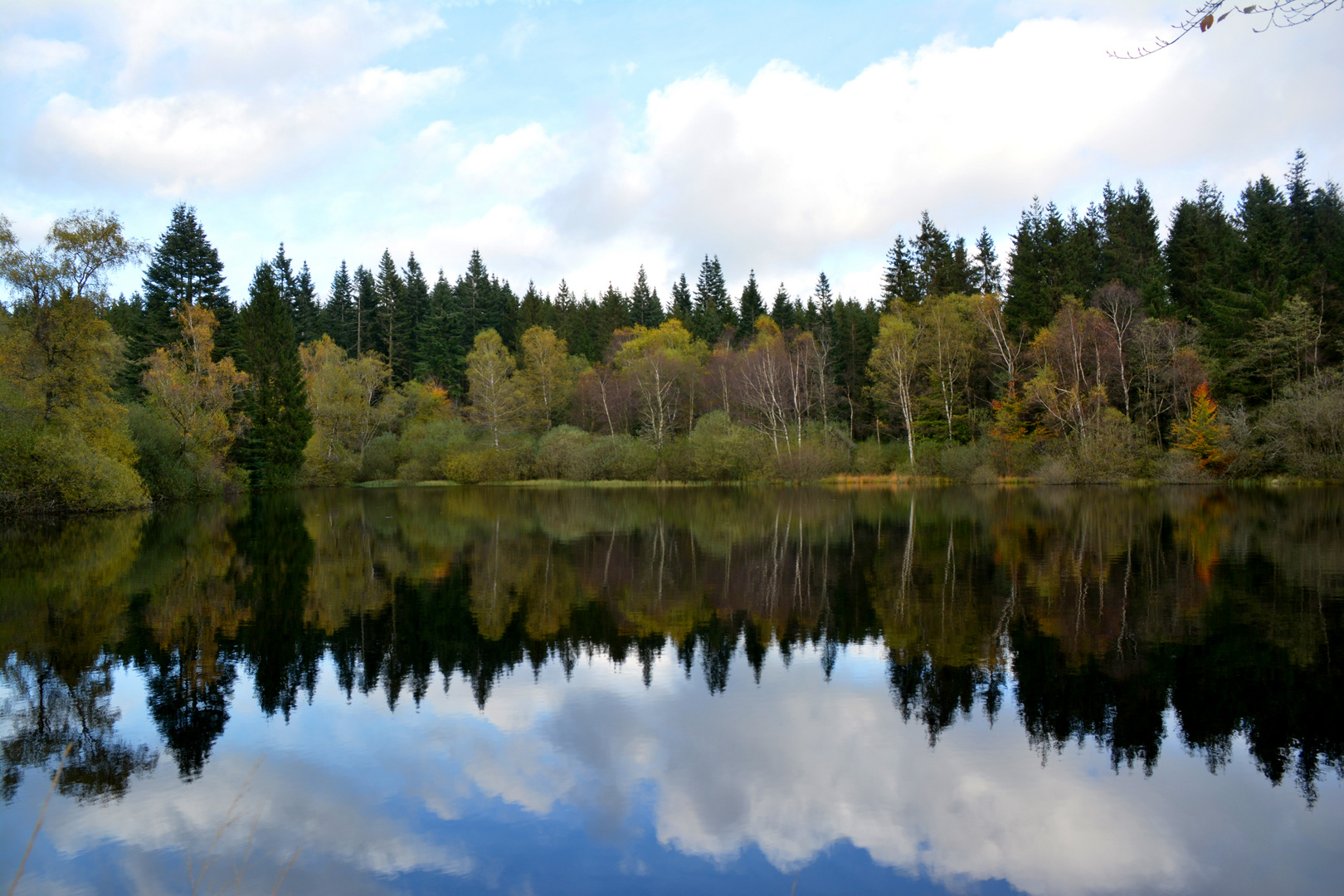 Couleurs d'automne