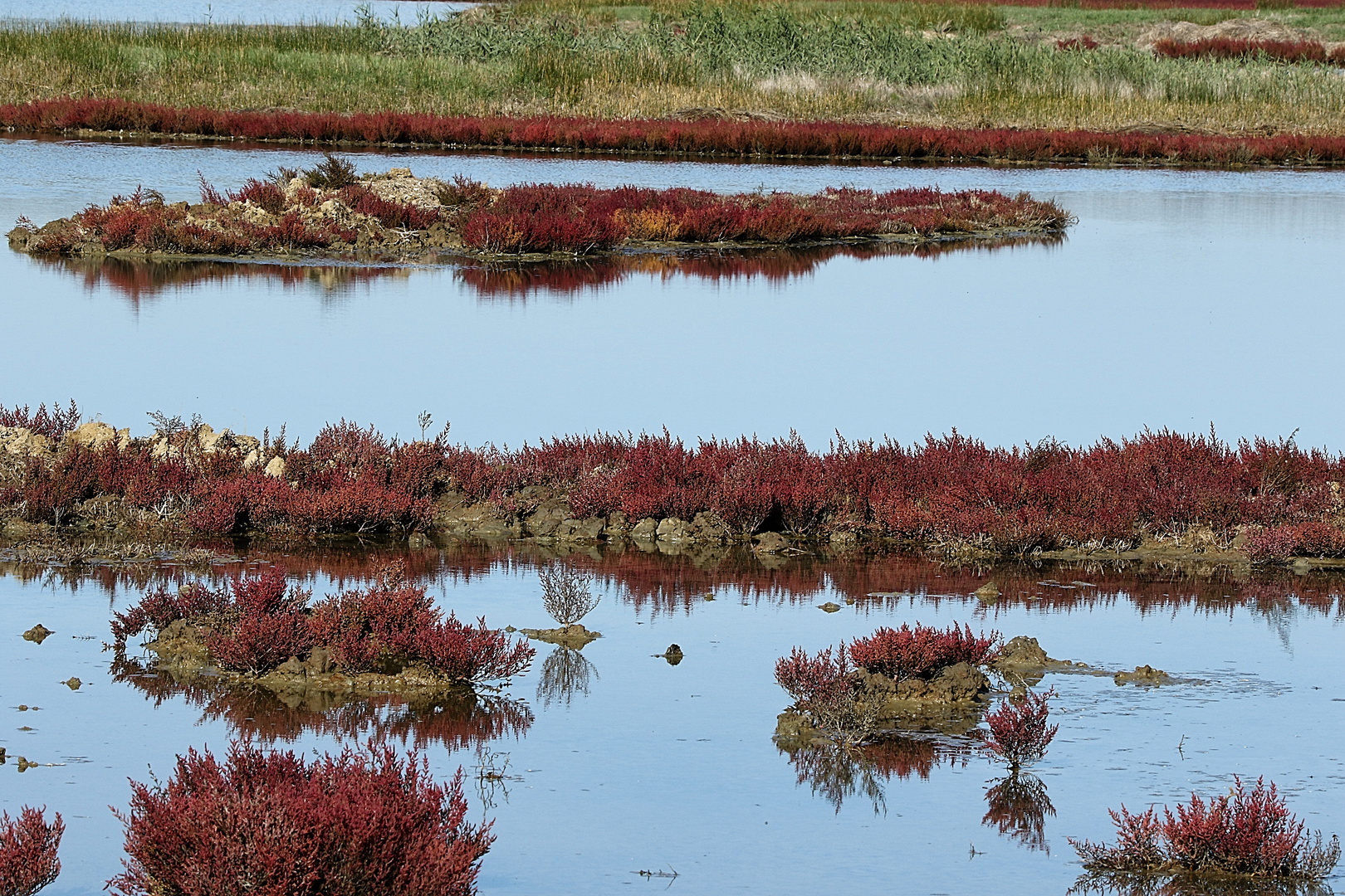 couleurs d'automne !