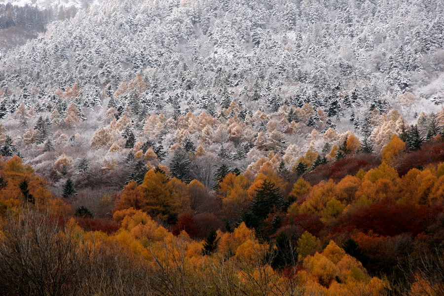 Couleurs d'automne