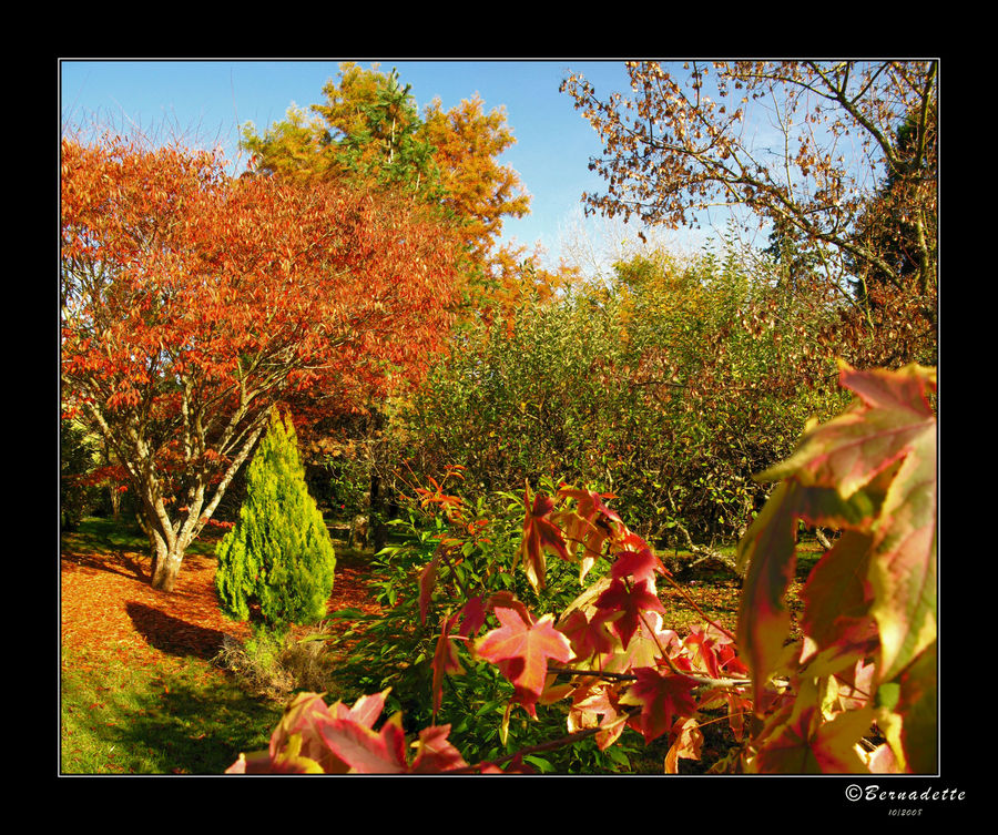 Couleurs d'automne