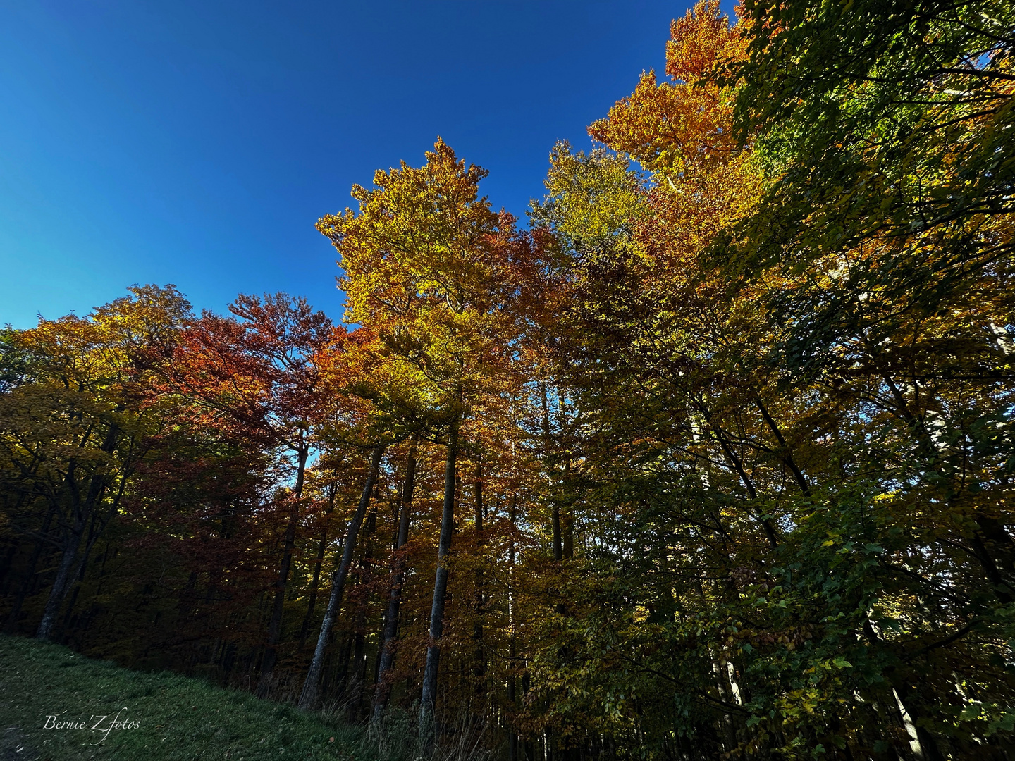 Couleurs d'automne