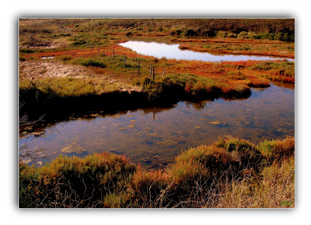 Couleurs d'automne