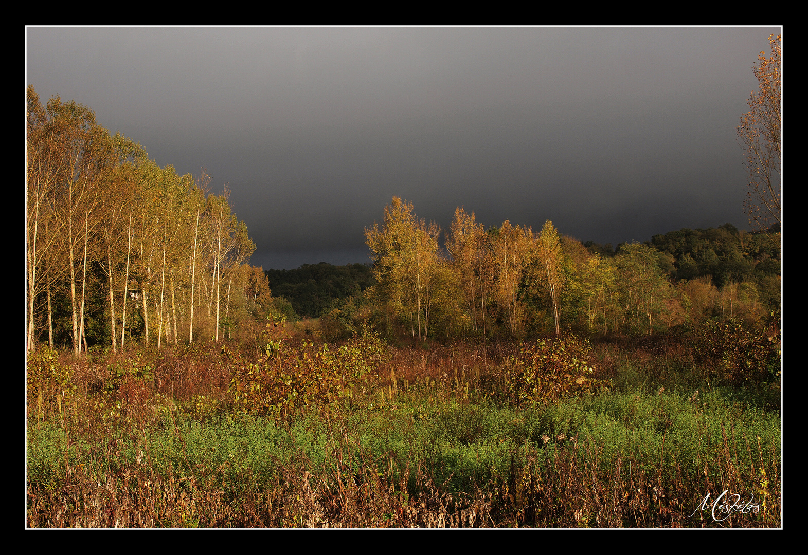 Couleurs d'Automne