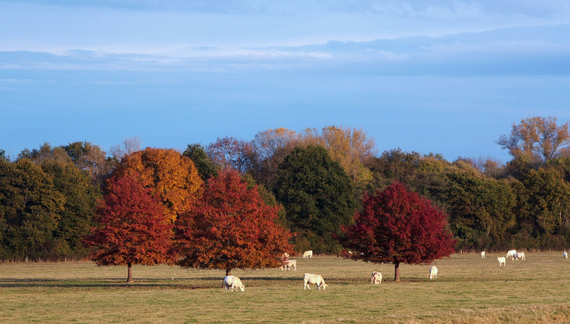 Couleurs d'automne