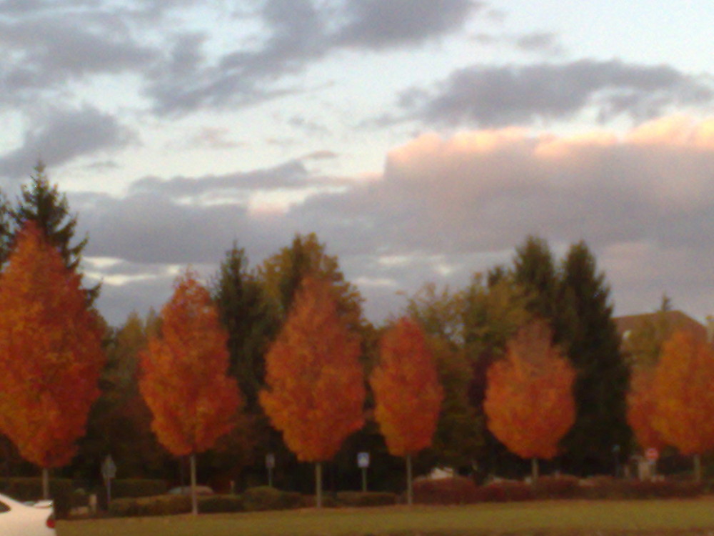 Couleurs d'Automne!!