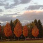 Couleurs d'Automne!!