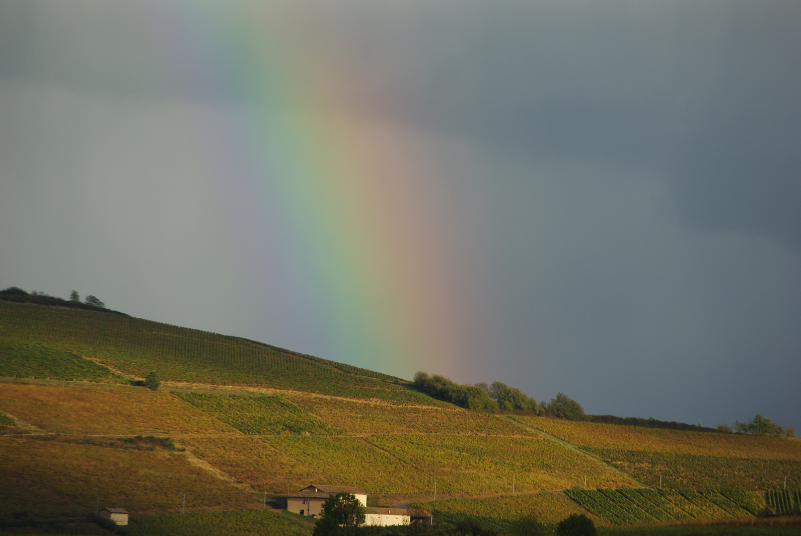 couleurs d'automne