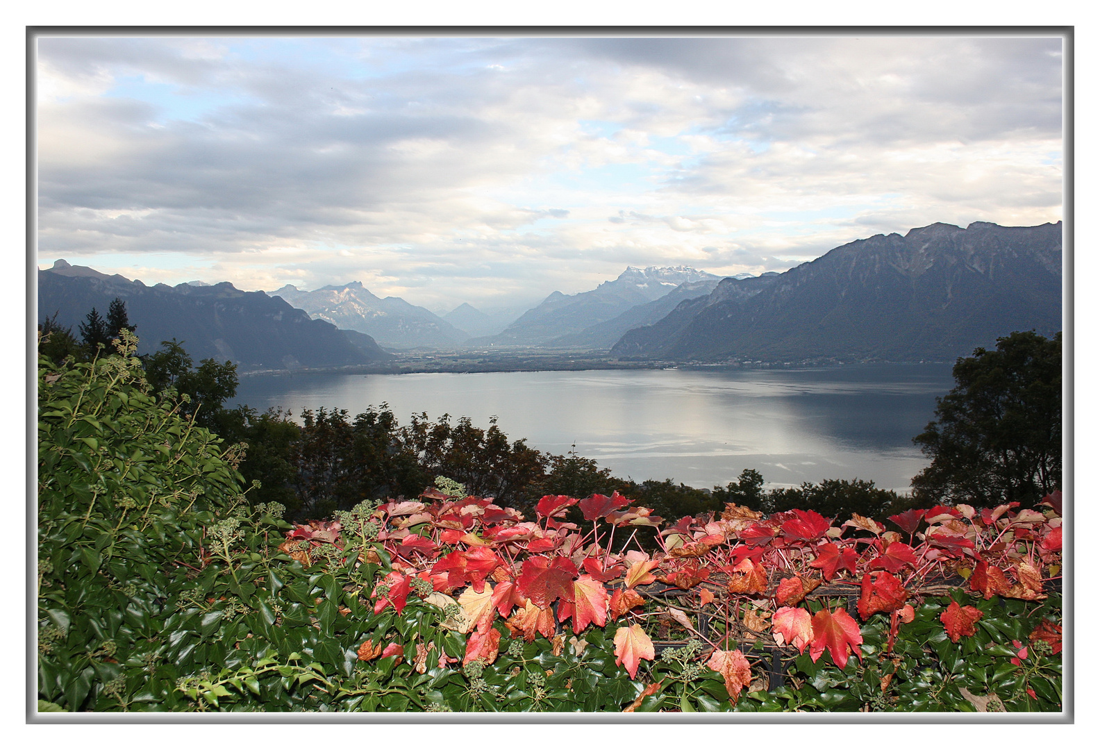 couleurs d'automne