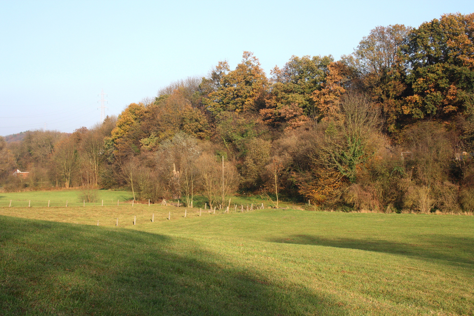 Couleurs d'automne