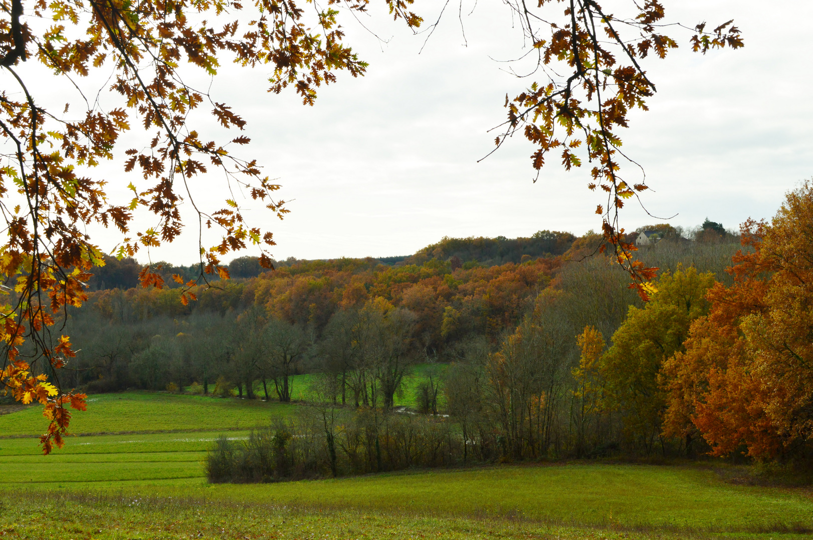 couleurs d'automne