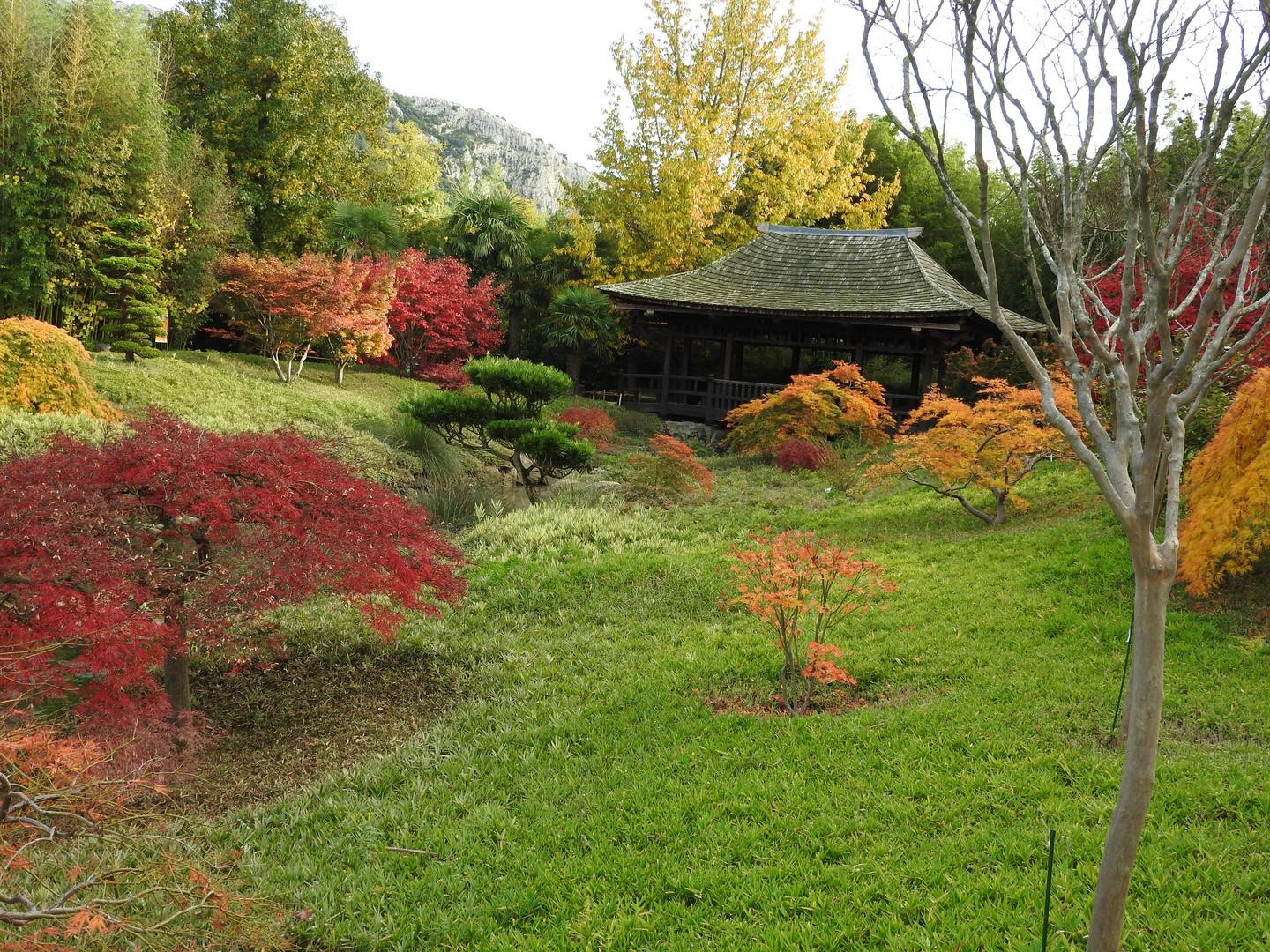 couleurs d'automne anduze gard