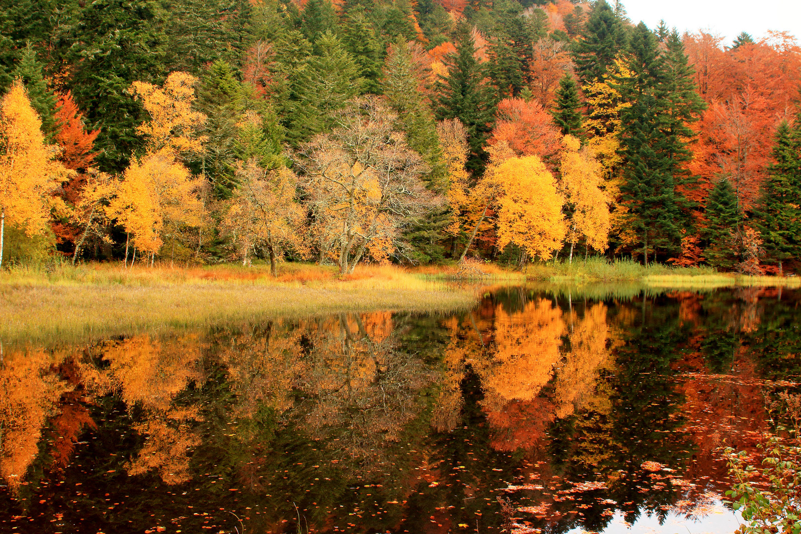 Couleurs d'automne