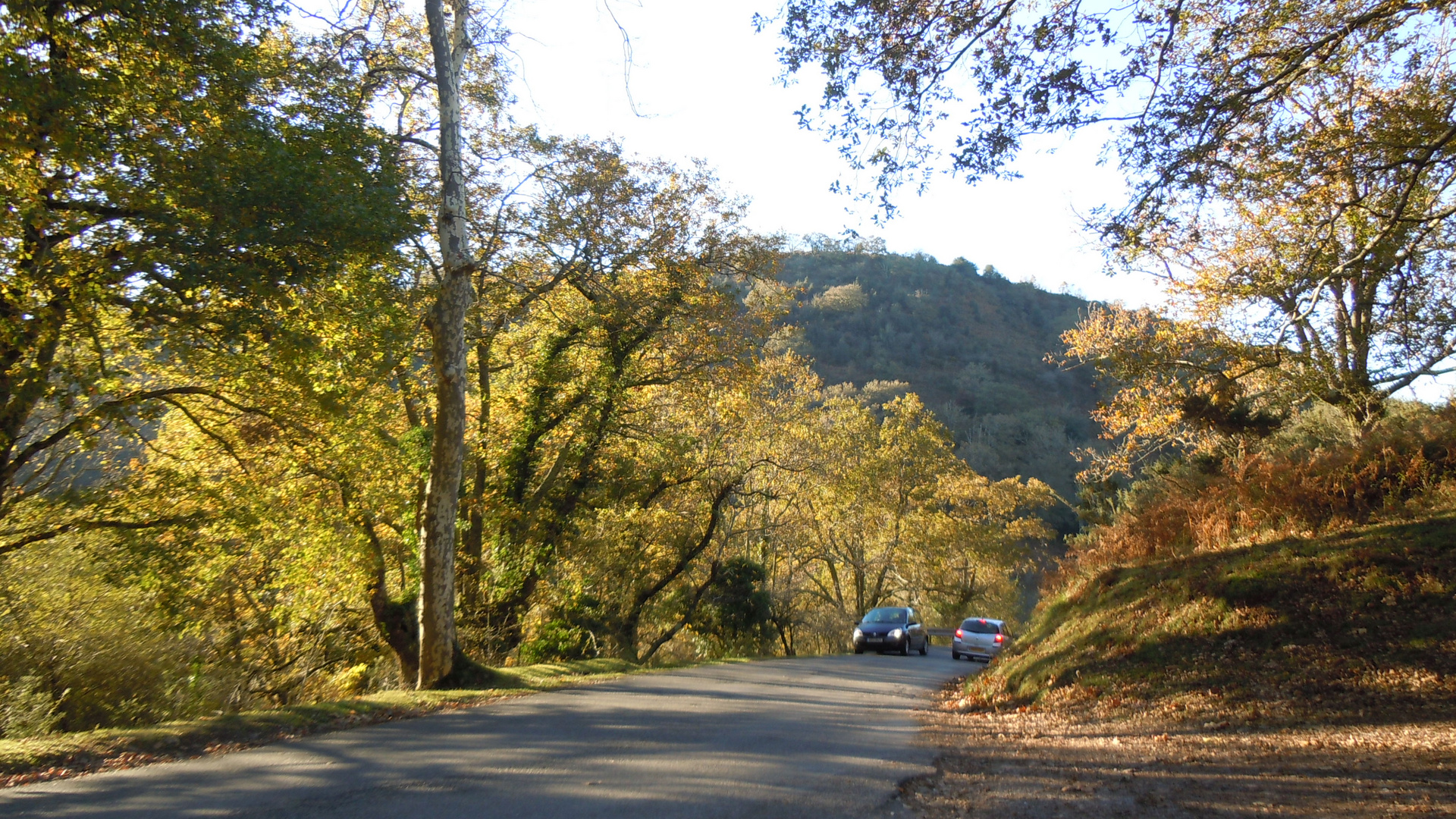 Couleurs d'automne