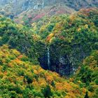 Couleurs d'automne dans le Puy de Dome