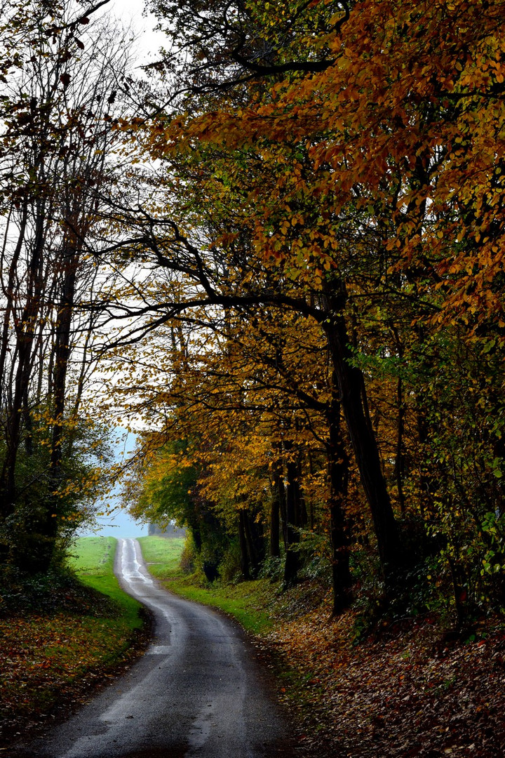 Couleurs d'automne