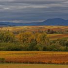 Couleurs d'automne / Herbstfarben