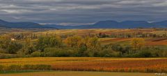 Couleurs d'automne / Herbstfarben