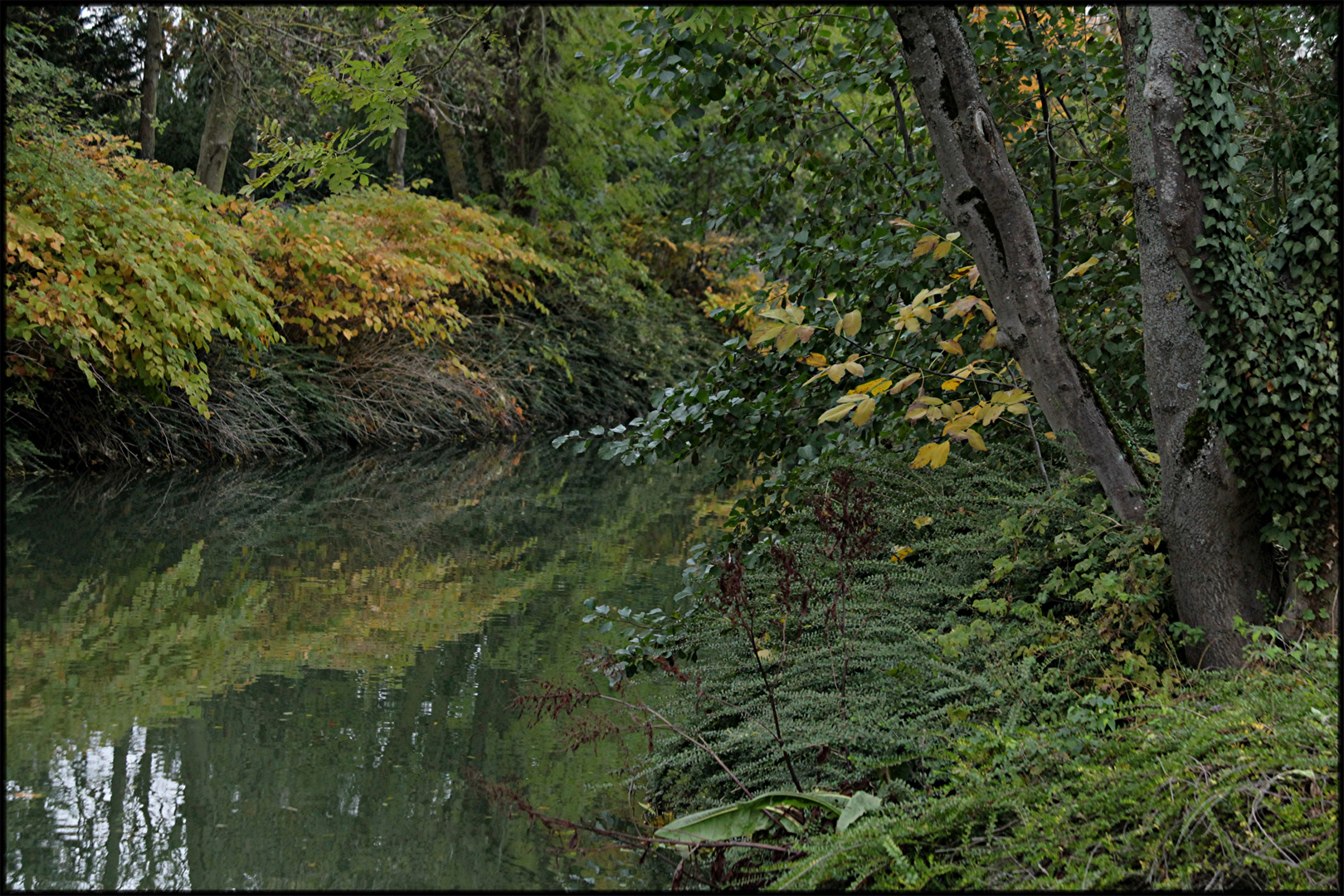 COULEURS D'AUTOMNE LES RIVES DE SCARPE N°2 ORIGINAL JPEG