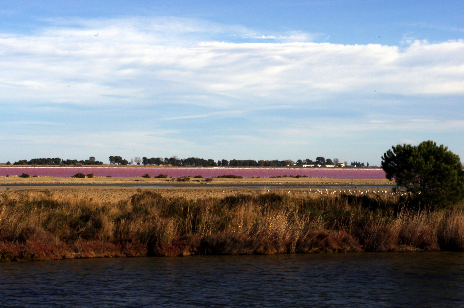 couleurs de Camargue