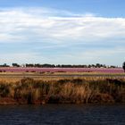 couleurs de Camargue