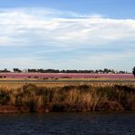 couleurs de Camargue