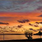 couleurs de " frimaire" sur la côte d azur!