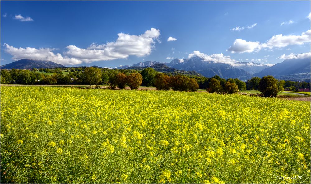 Couleurs de Haute-Savoie