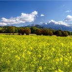 Couleurs de Haute-Savoie