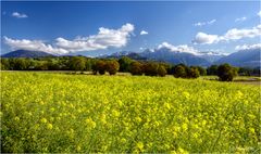 Couleurs de Haute-Savoie