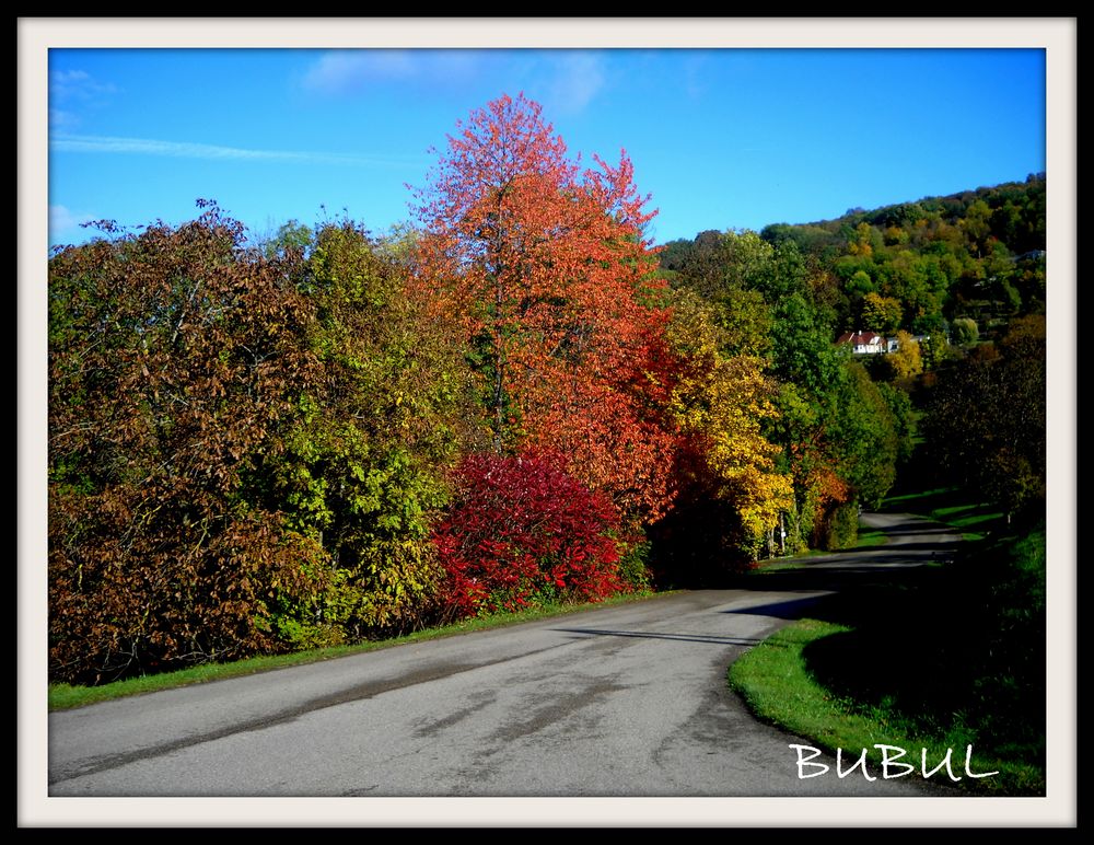 COULEURS DE L AUTOMNE