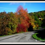 COULEURS DE L AUTOMNE