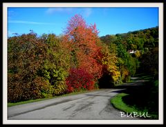 COULEURS DE L AUTOMNE