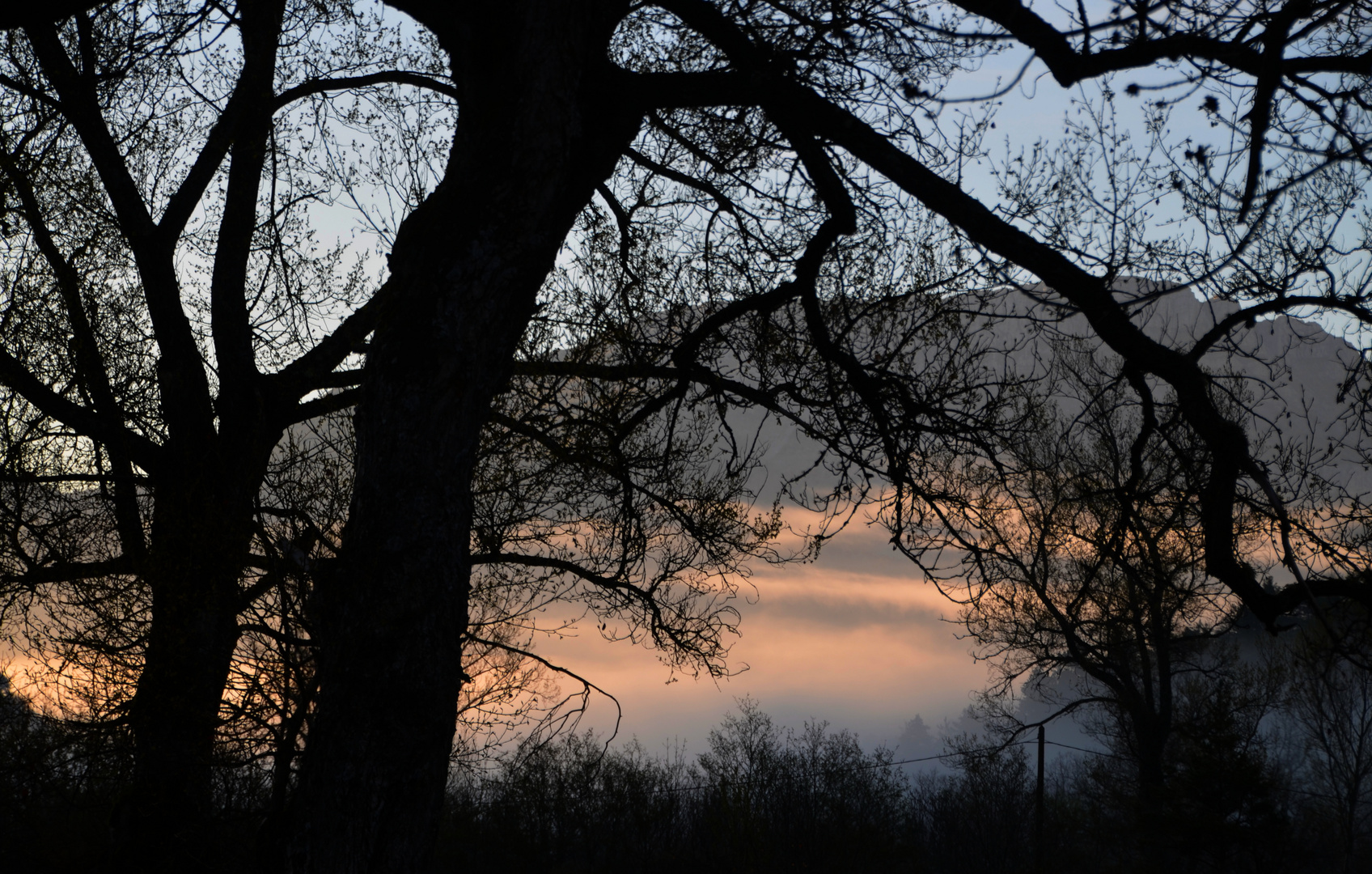 * couleurs de la brume *