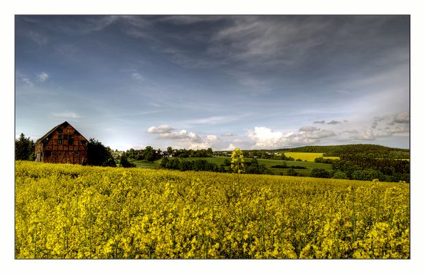 Couleurs de la nature