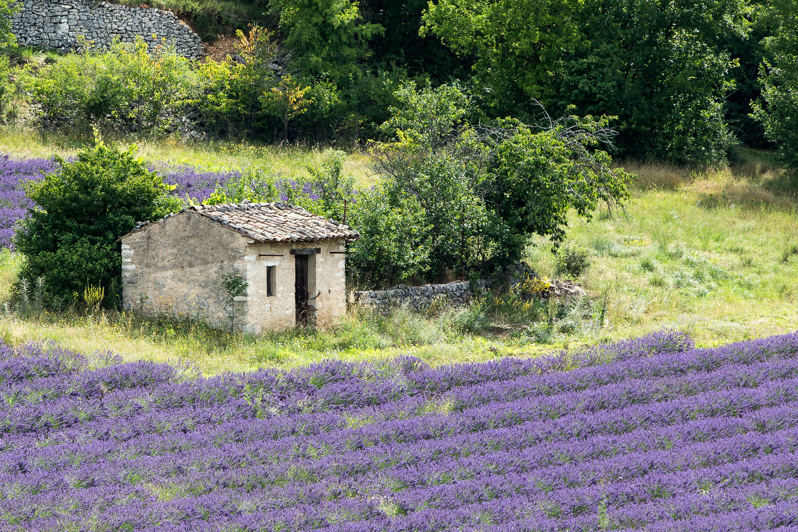 Couleurs de la Provence