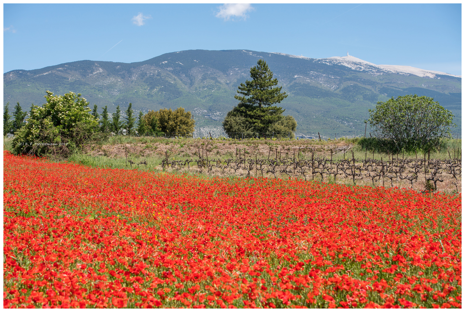 Couleurs de la Provence 2