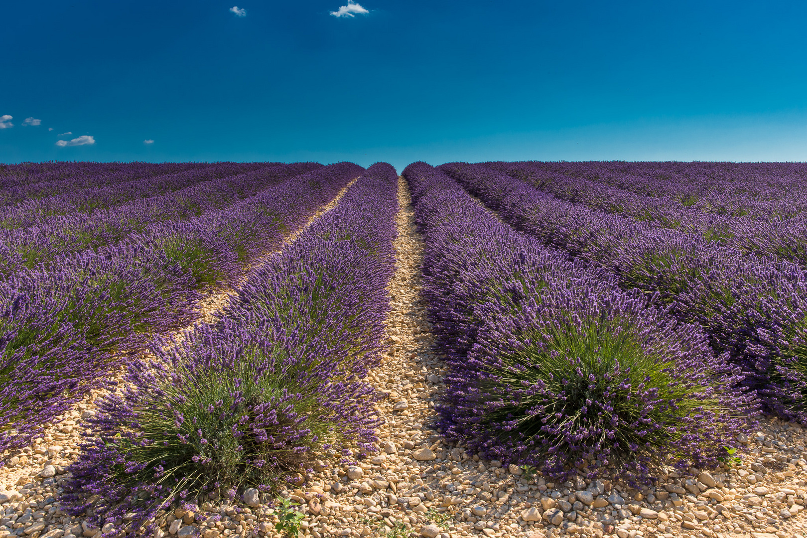 Couleurs de la Provence III