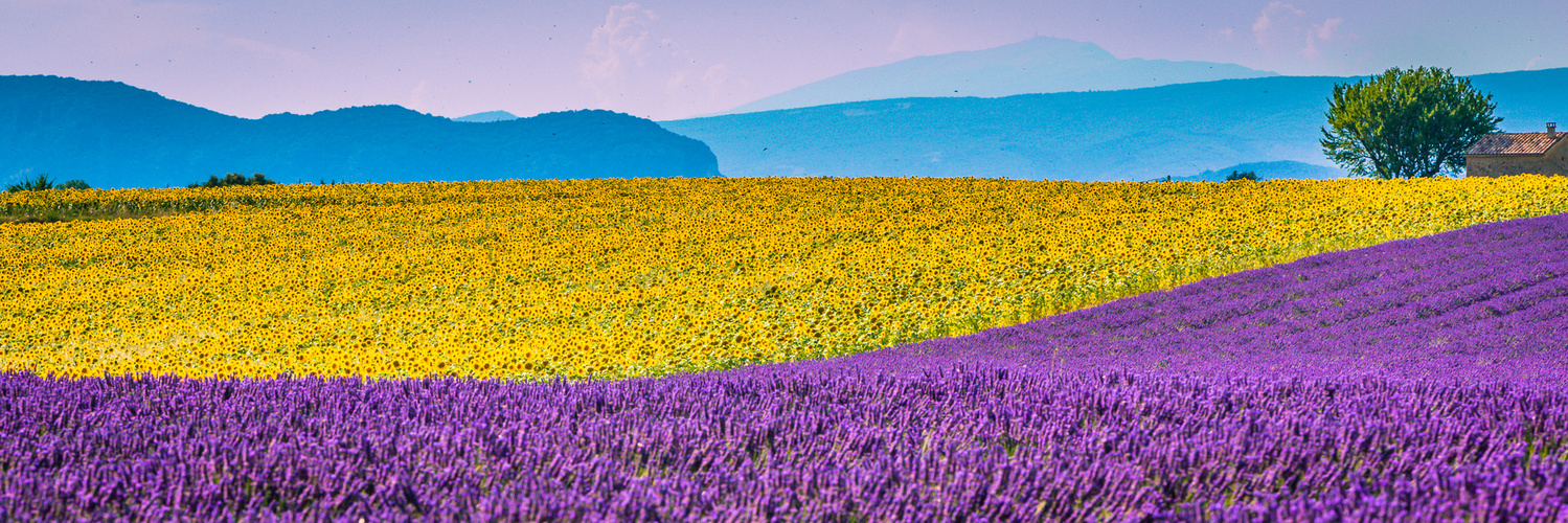 Couleurs de la Provence IV