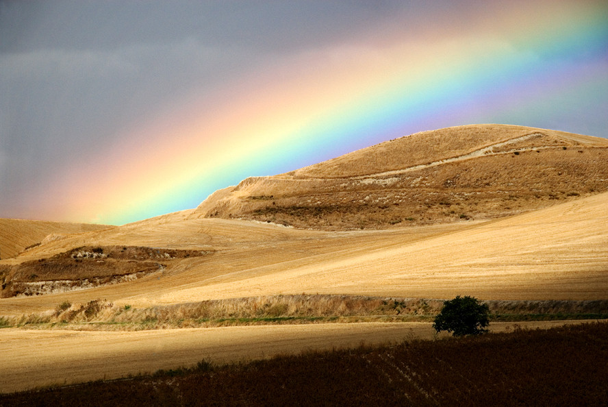 Couleurs de la Rioja