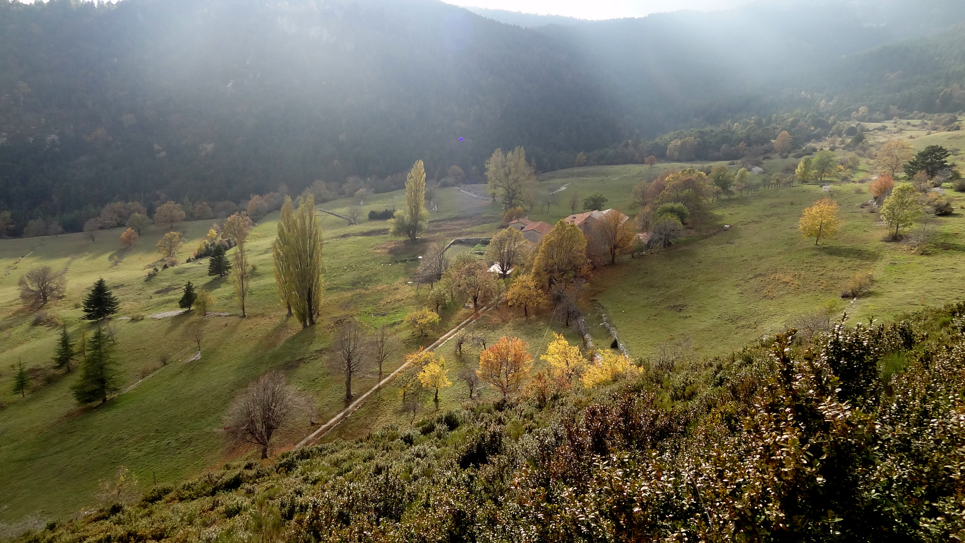 Couleurs de l'automne 1