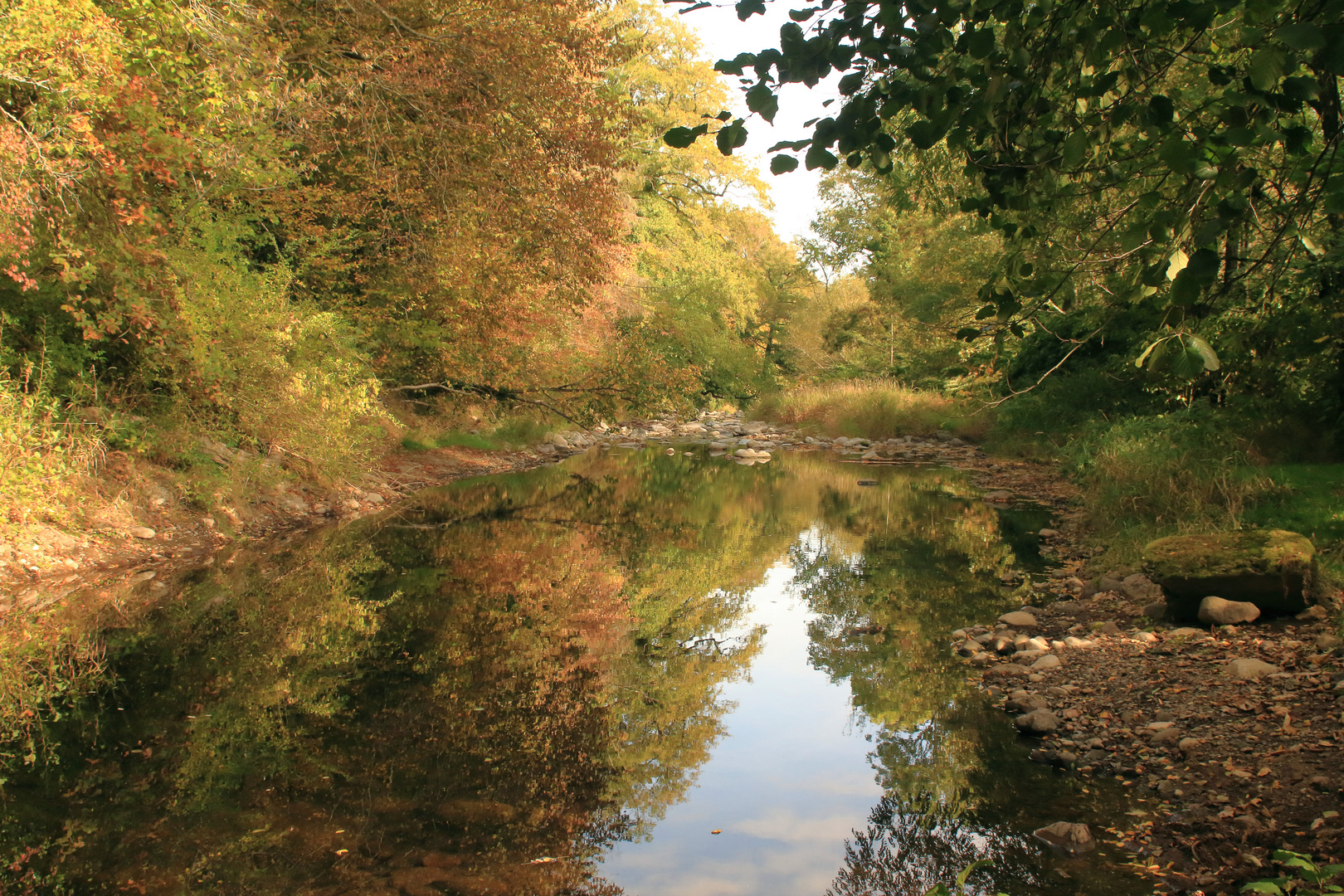 Couleurs de l'automne .